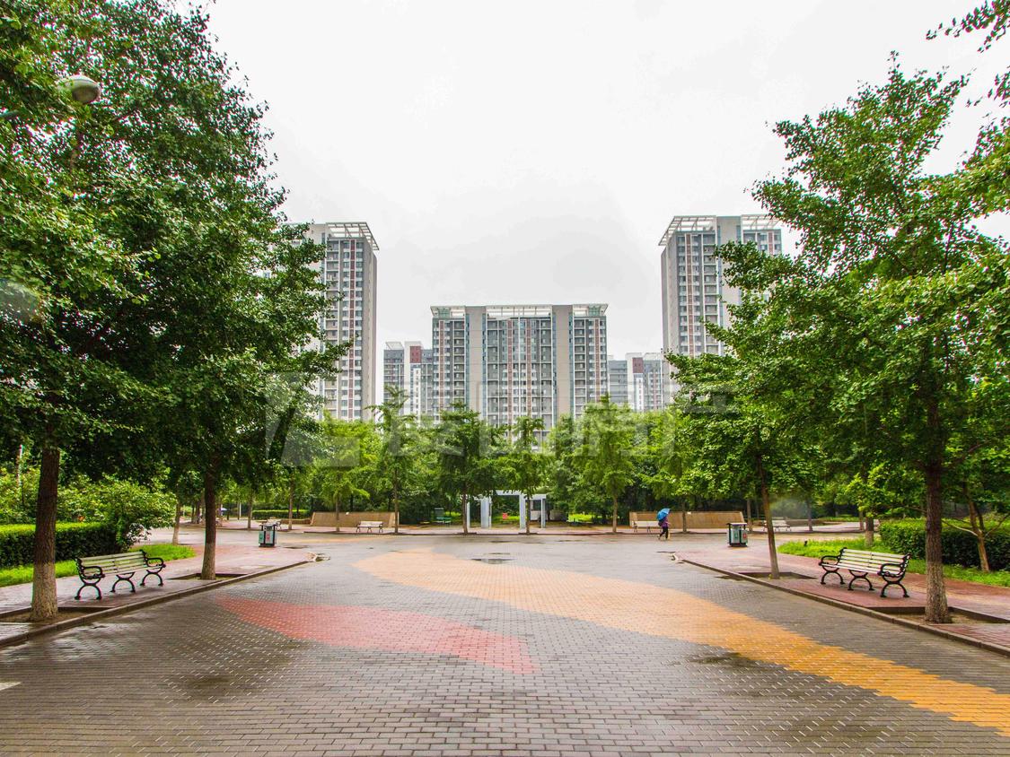 整租·国风上观