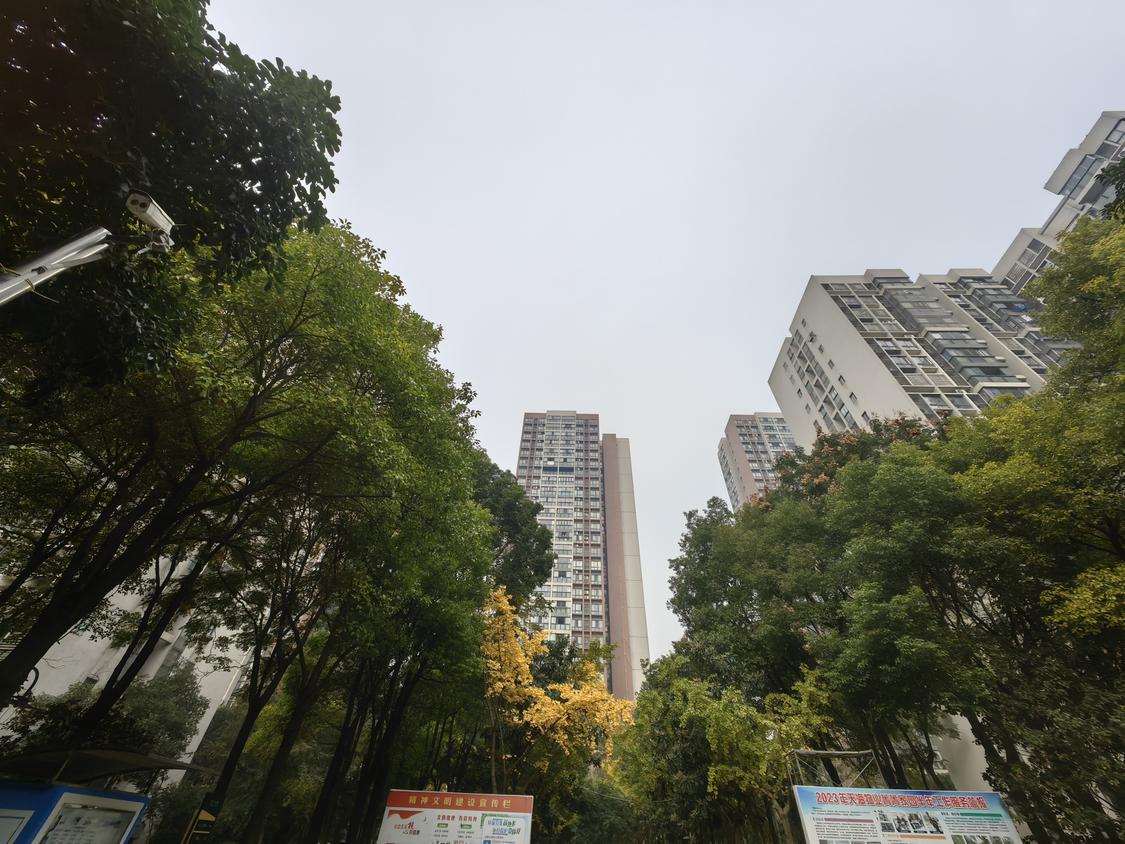 整租·菁菁家园