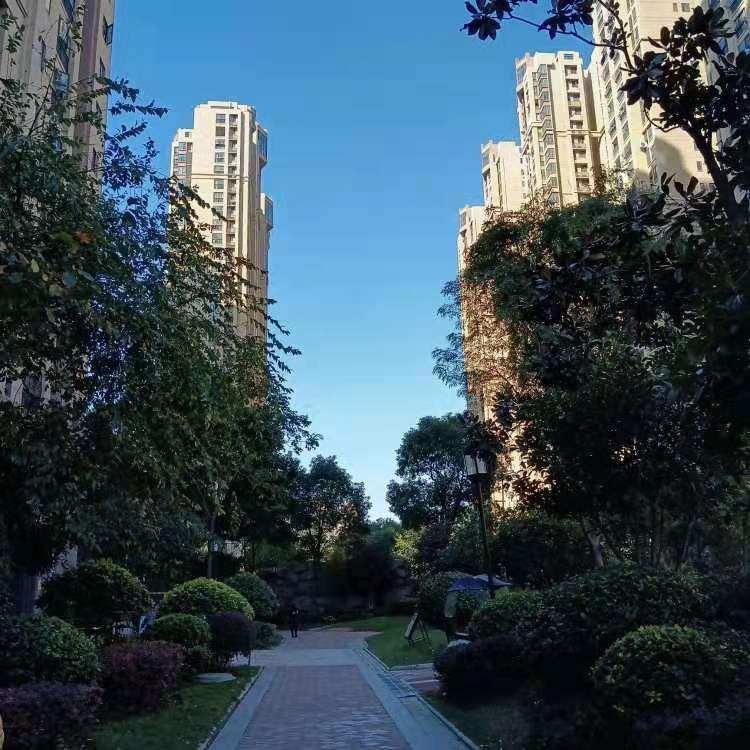 整租·沿海赛洛城(七期)