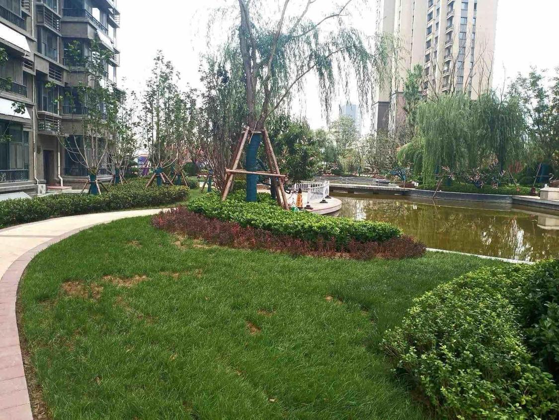 整租·恒大翡翠华庭