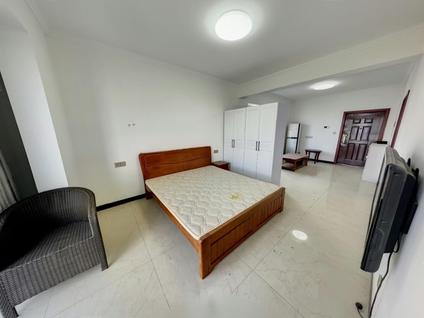 青白江青白江整租 凤凰湖国际社区1室1厅/49平/中楼层