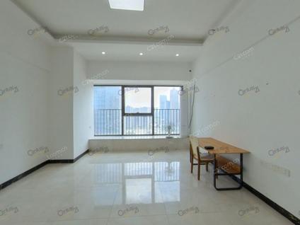 南海金融高新区整租 京华广场1室1厅/60平/中楼层