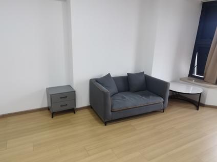 普陀真如整租 星河世纪城(MINI公馆)1室1厅/53平/高楼层