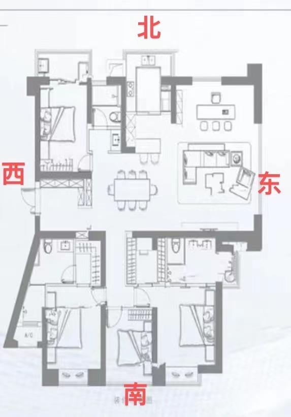 整租·天境云著