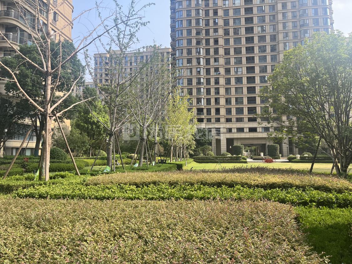整租·楚天都市诚园