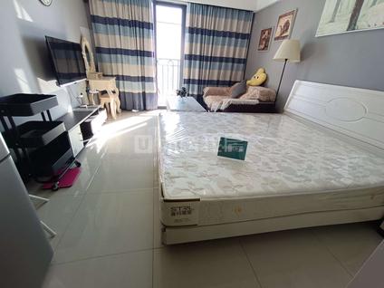 东城主山整租 花样年华1室0厅/36平/高楼层