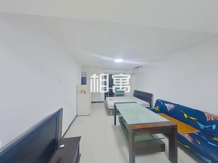 西城白纸坊整租 恬心家园1室1厅/54平/高楼层