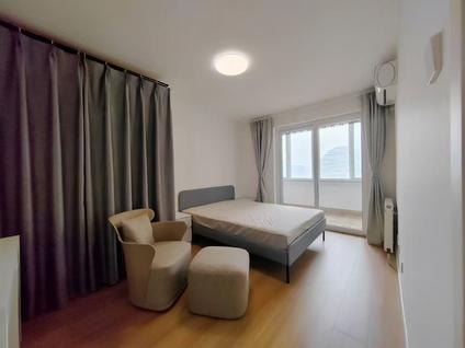 朝阳望京整租 望京西园(三区)1室1厅/122平/中楼层