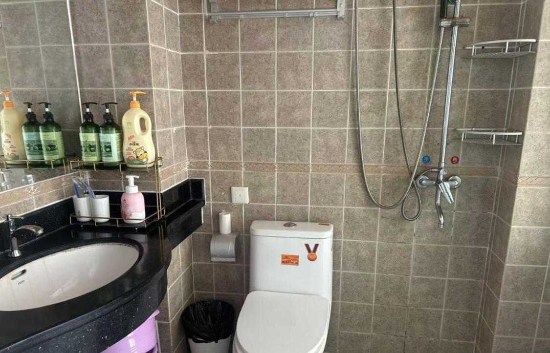 整租·鸿洲天玺