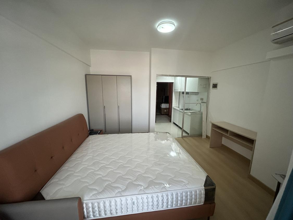 整租·嘉年华国际公寓