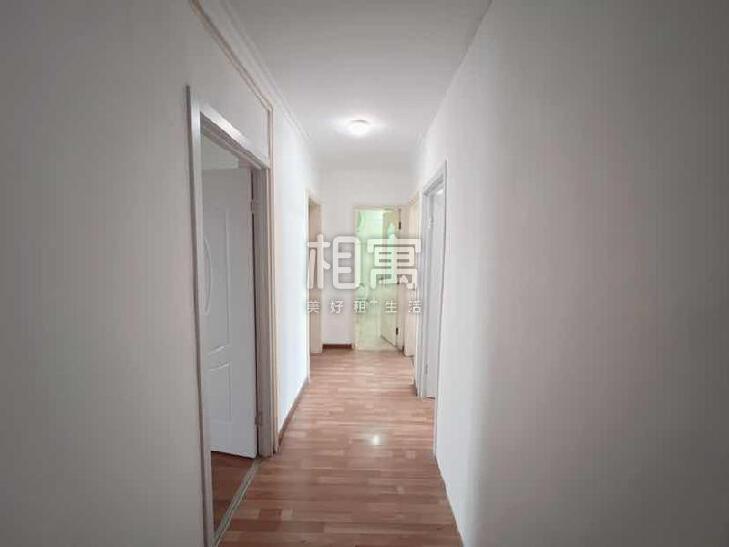 合租·阳光新干线