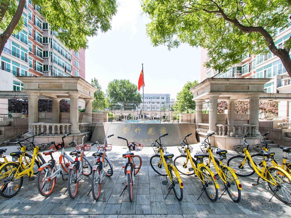 整租·紫竹花园