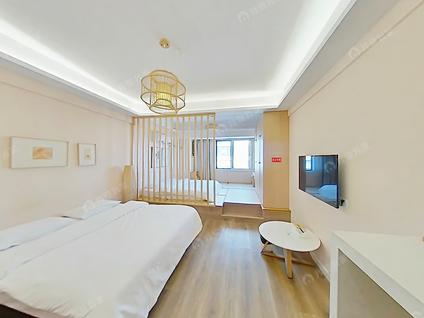 栖霞马群整租 中垠紫金观邸1室1厅/54平/中楼层