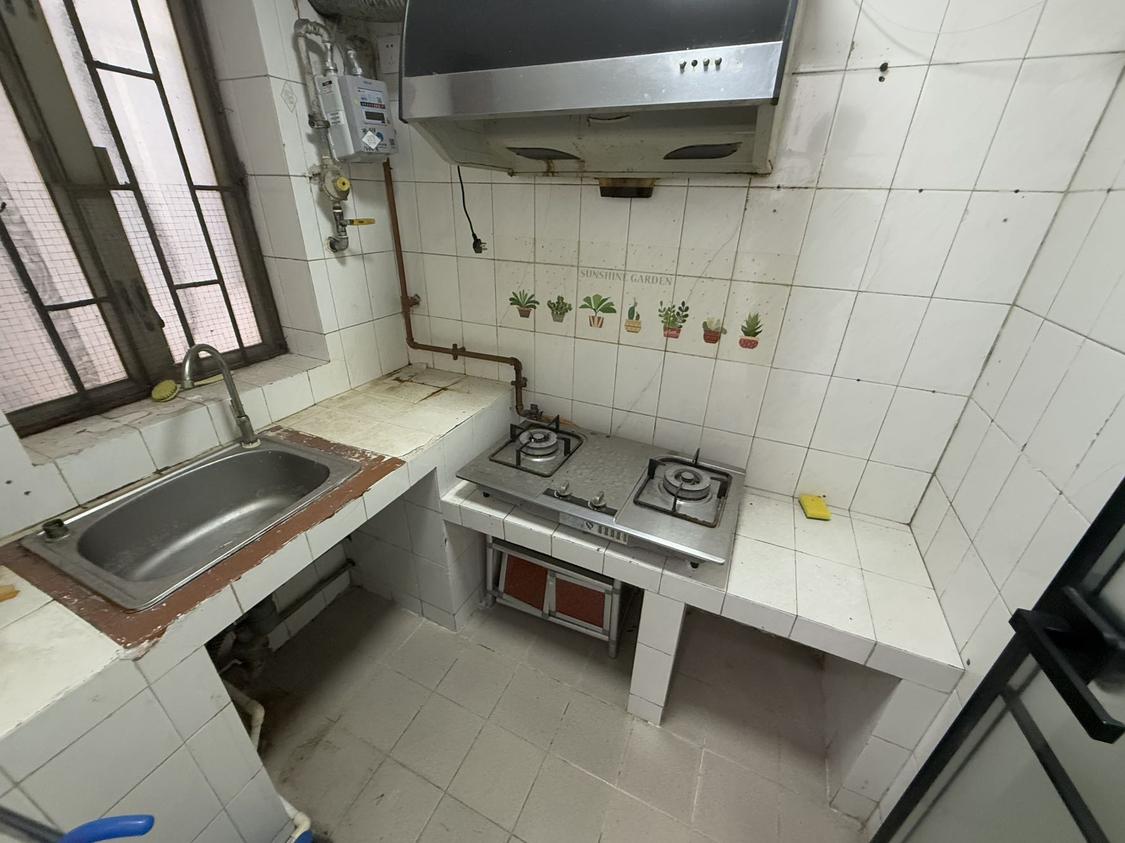 整租·大地花园