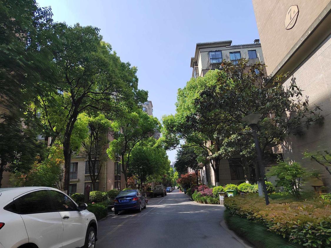 整租·中央华府