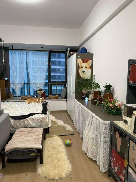 整租·万科麓公馆