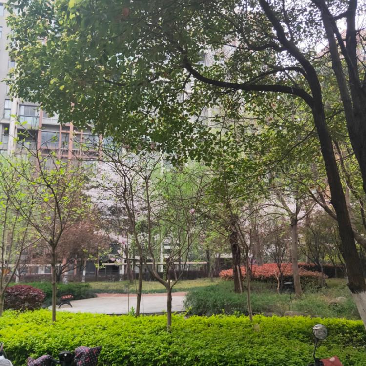 整租·长江尚品