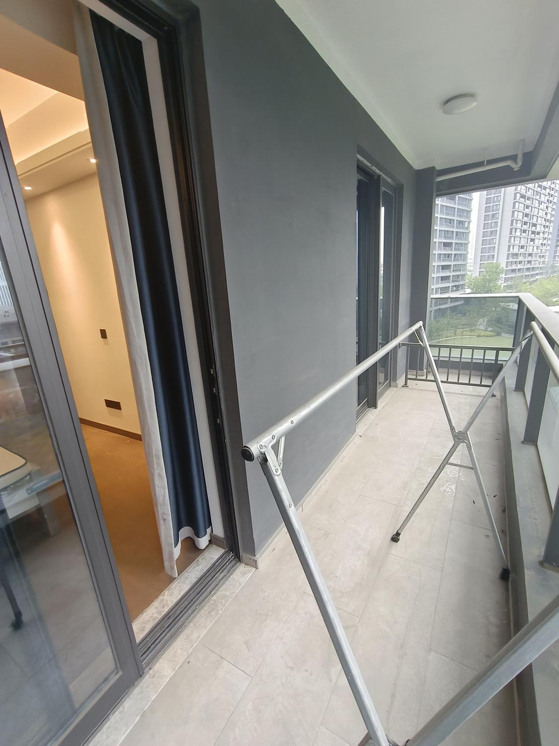 整租·金樾玖著