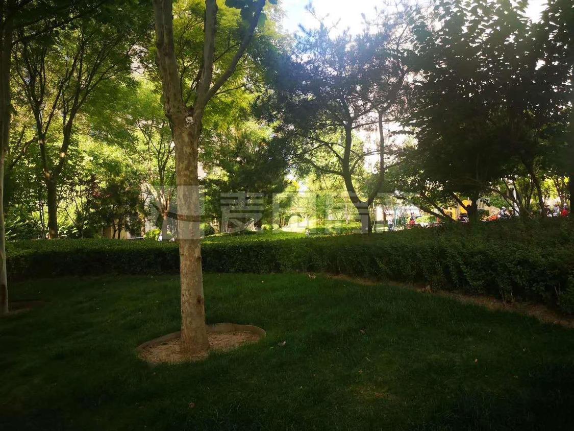 整租·亦庄金茂悦(南区)
