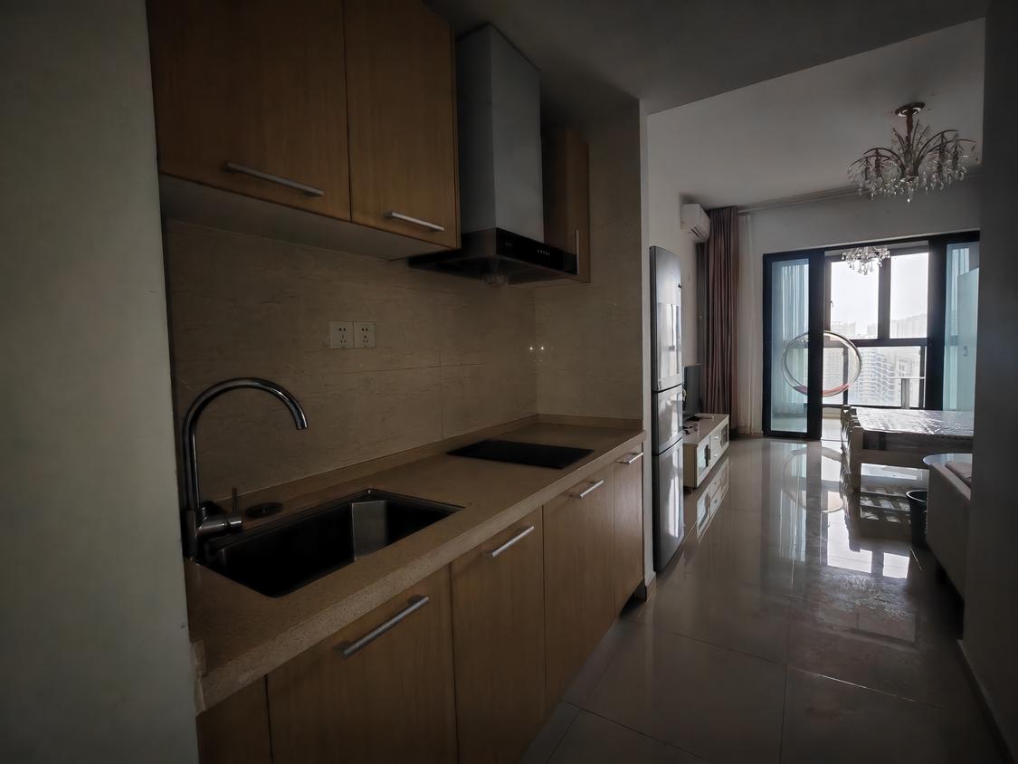 整租·天地凤凰城