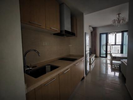 秀英远大整租 天地凤凰城1室1厅/50平/高楼层