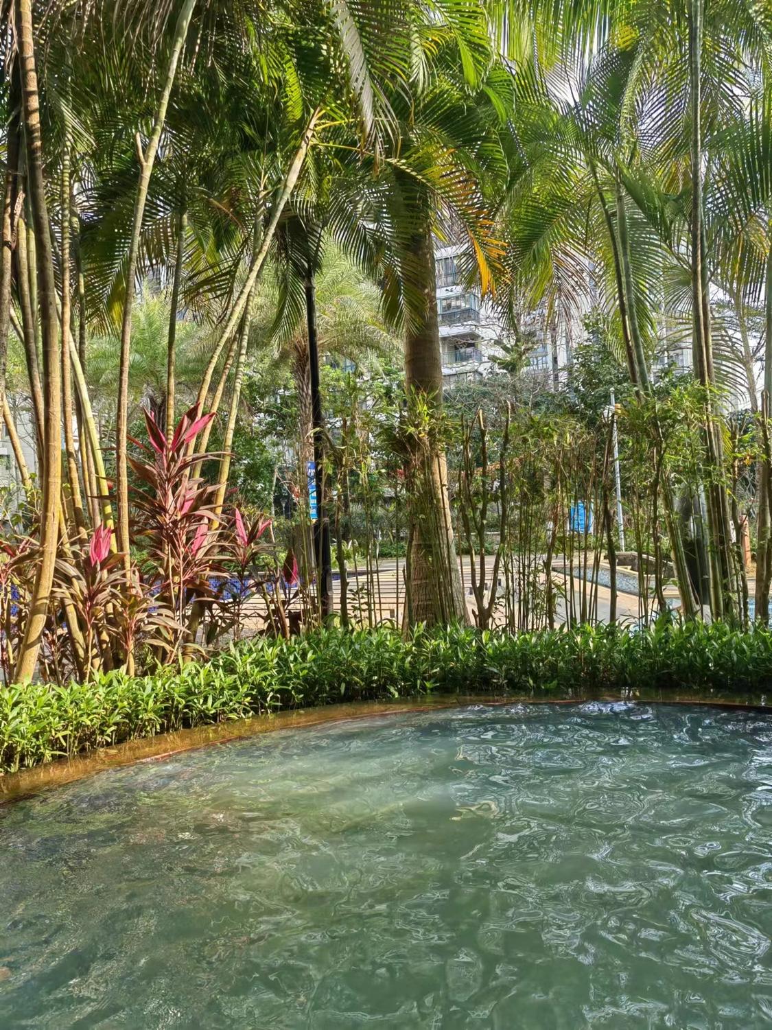 整租·晨晖帝景