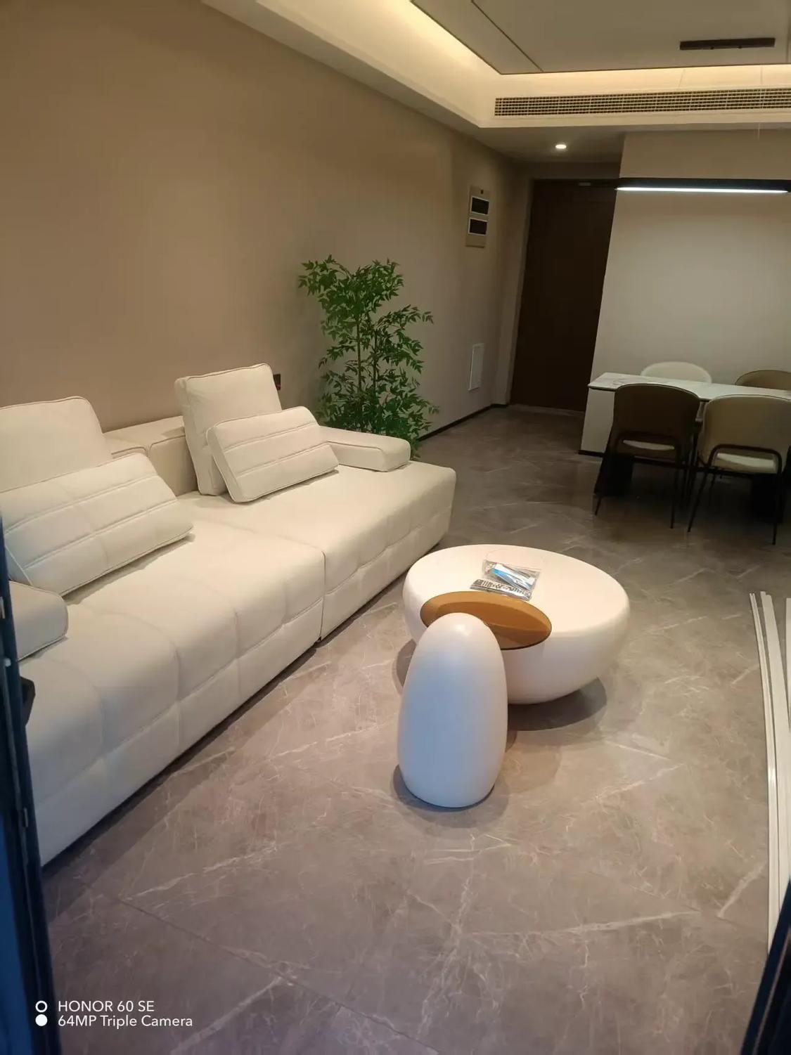 整租·金樾玖著