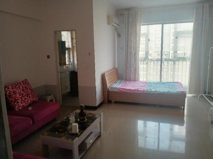 华龙华龙整租 华府山水1室1厅/47平/高楼层