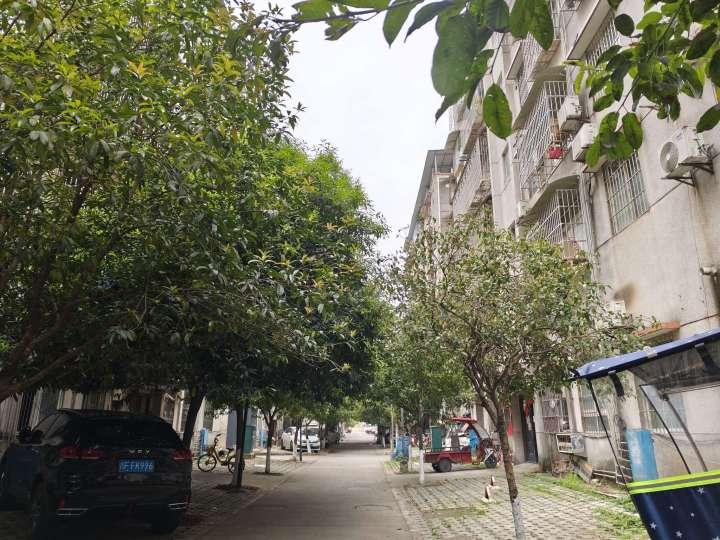 整租·石桥新村(一期）