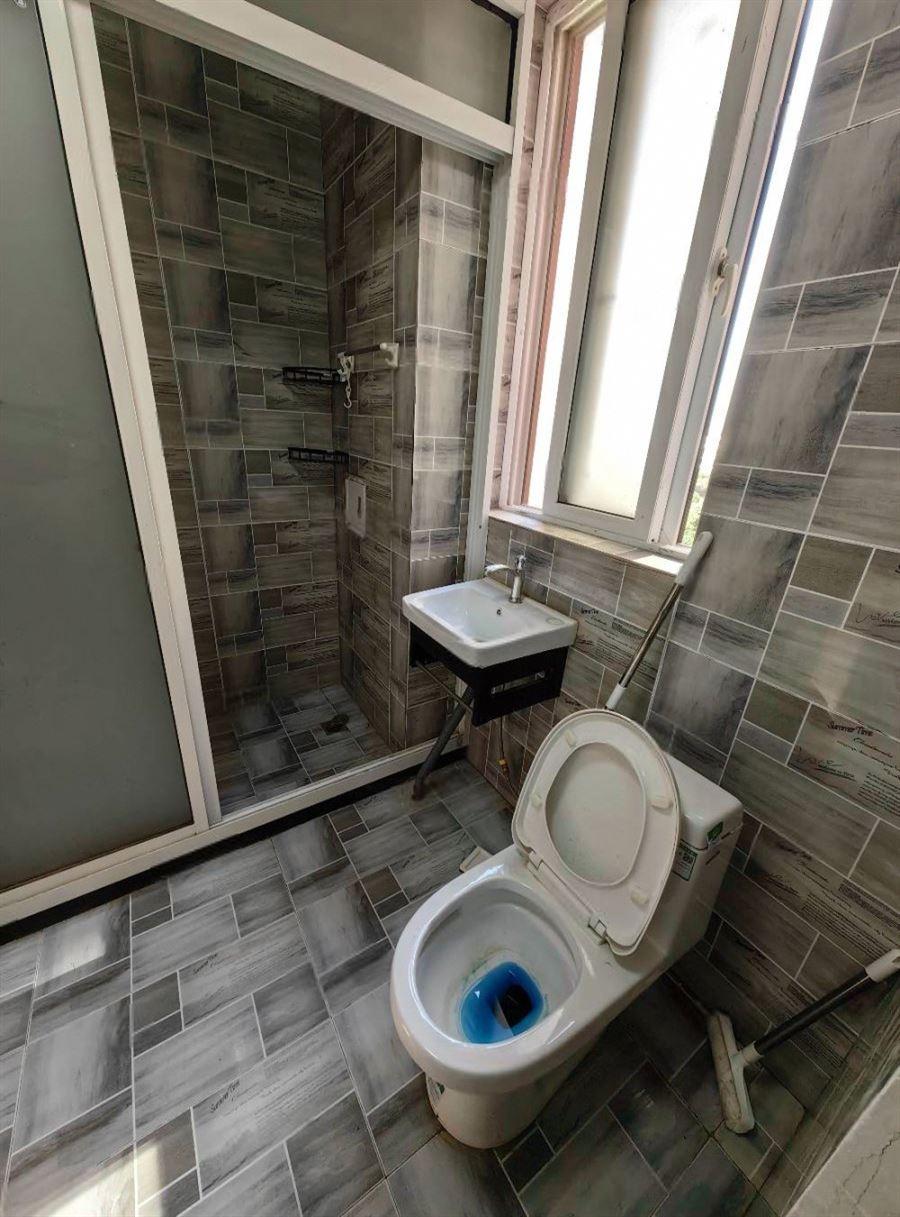 合租·东田小城之春