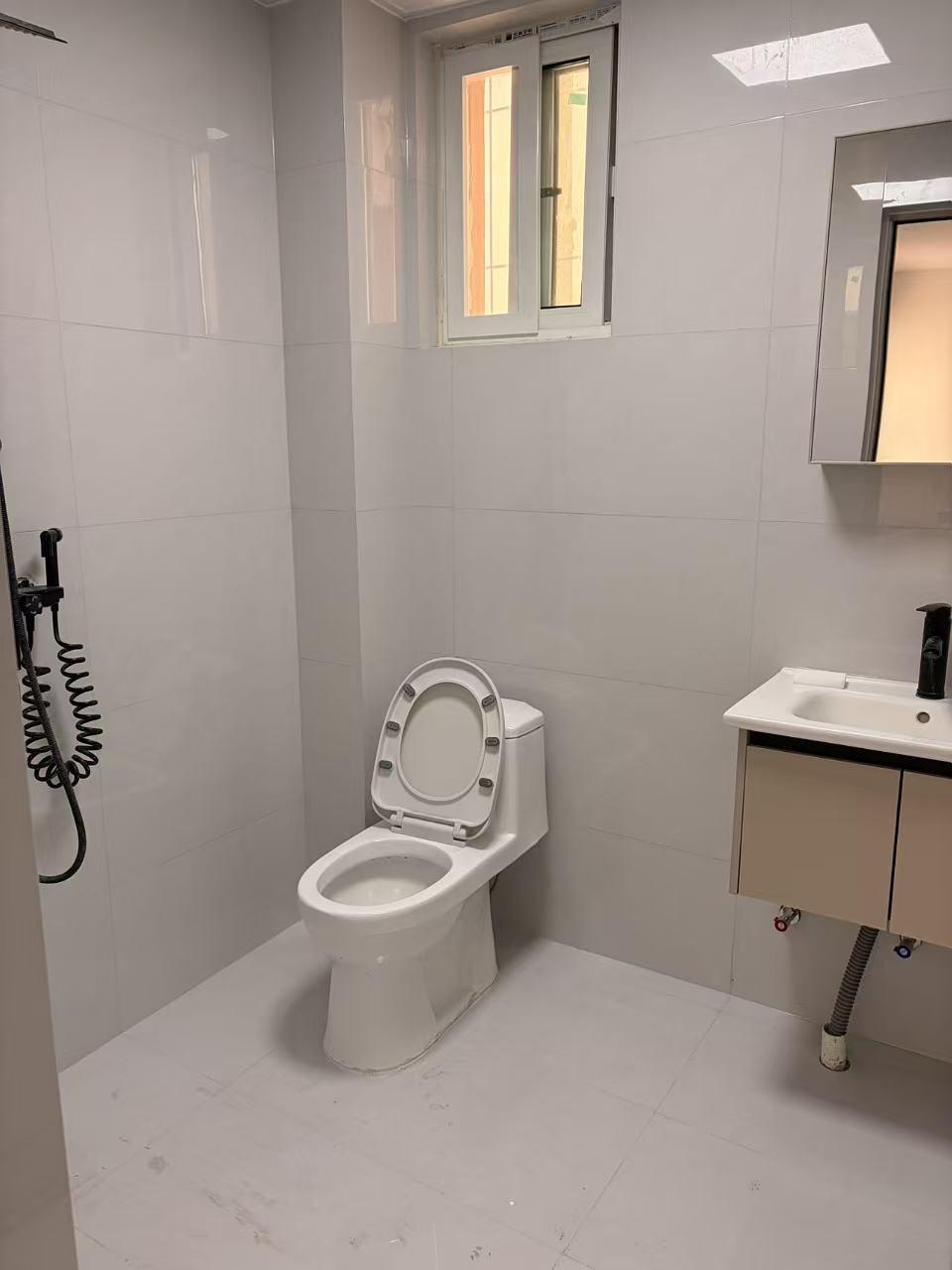 整租·凤凰名都