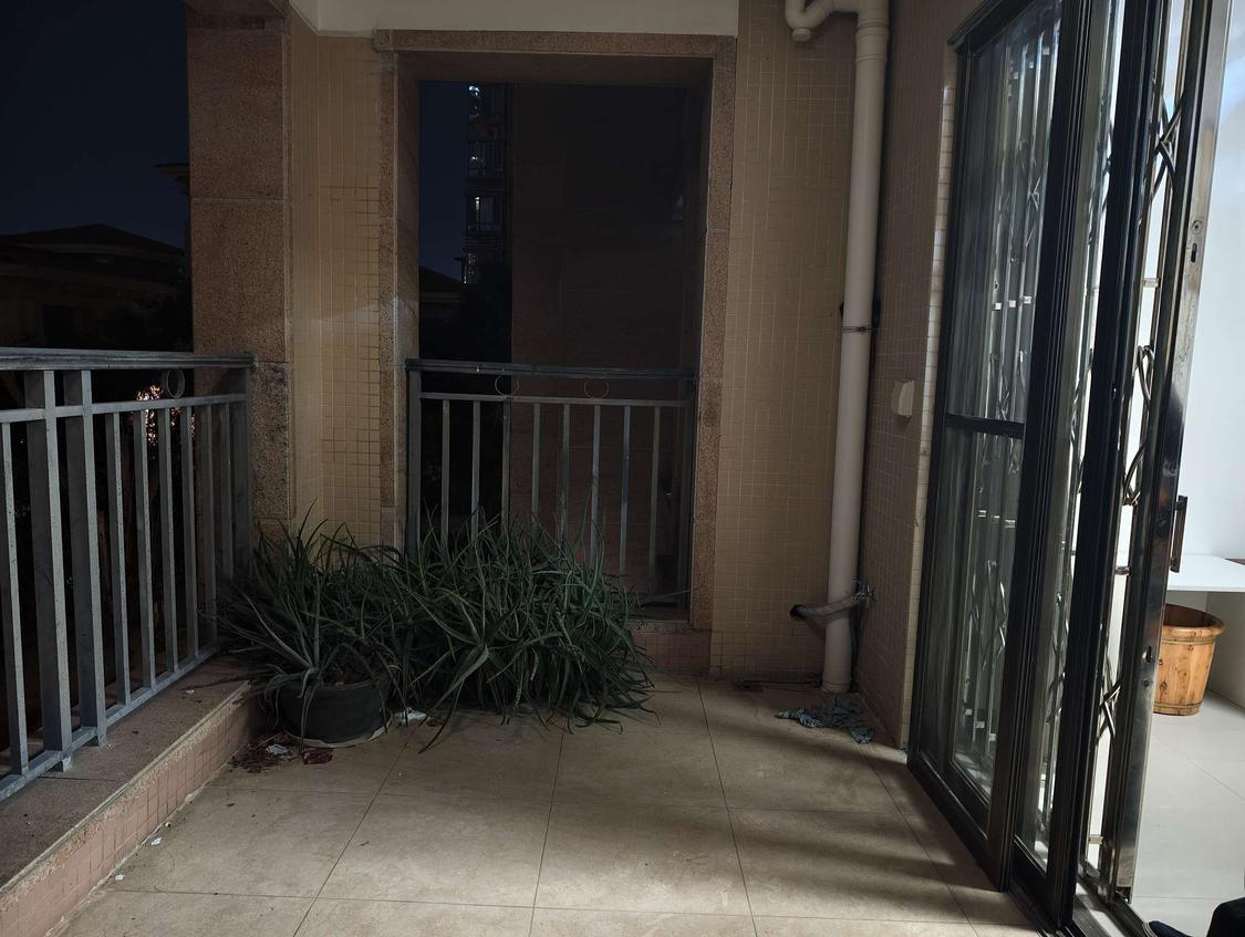 整租·君临海岸