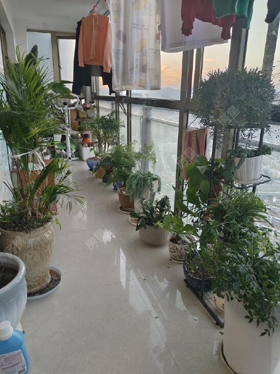 整租·金马悦城