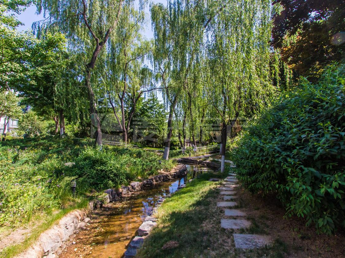 整租·博雅西园