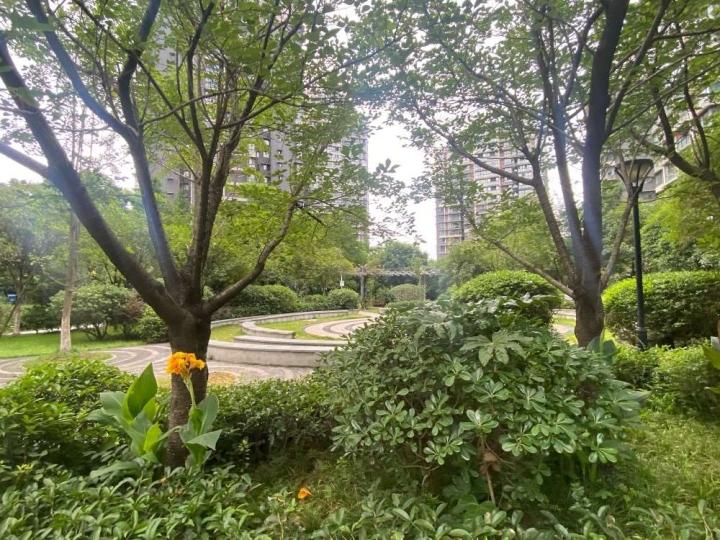 整租·龙湾上城