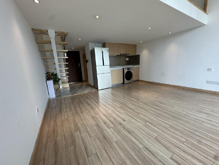 整租·万科大都会