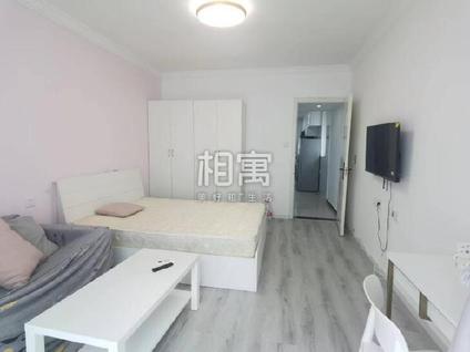 浦东杨思整租 南杨小区1室1厅/38平/低楼层