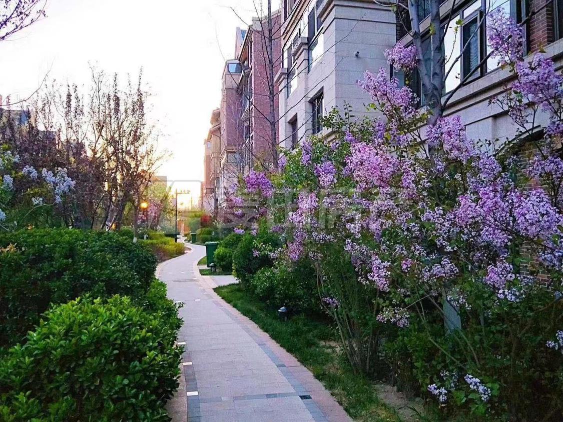 整租·金隅翡丽(蓝爵堡)