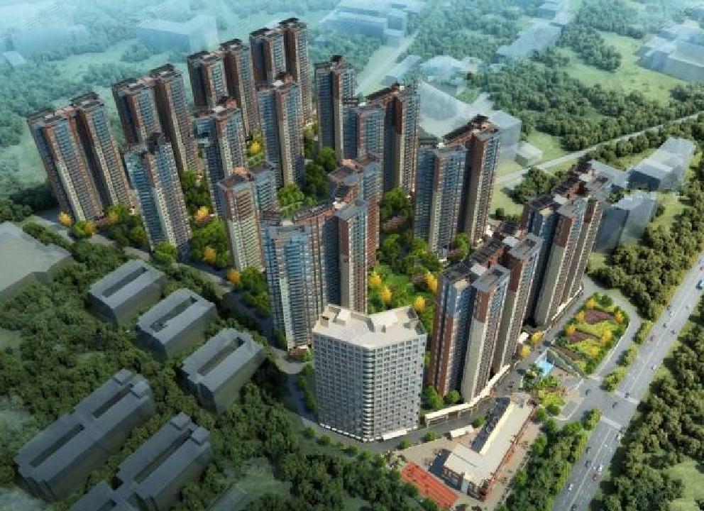 金色年华效果图