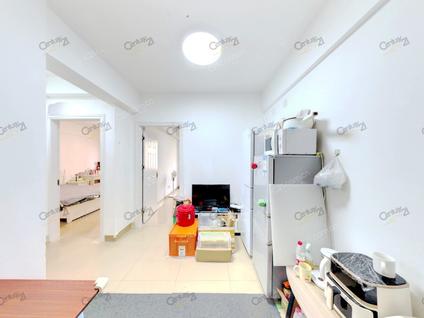 集美集美大学整租 红树康桥2室1厅/60平/中楼层