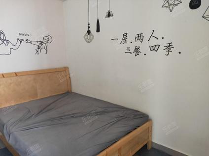 福田笔架山合租 华新村1室0厅/20平/高楼层