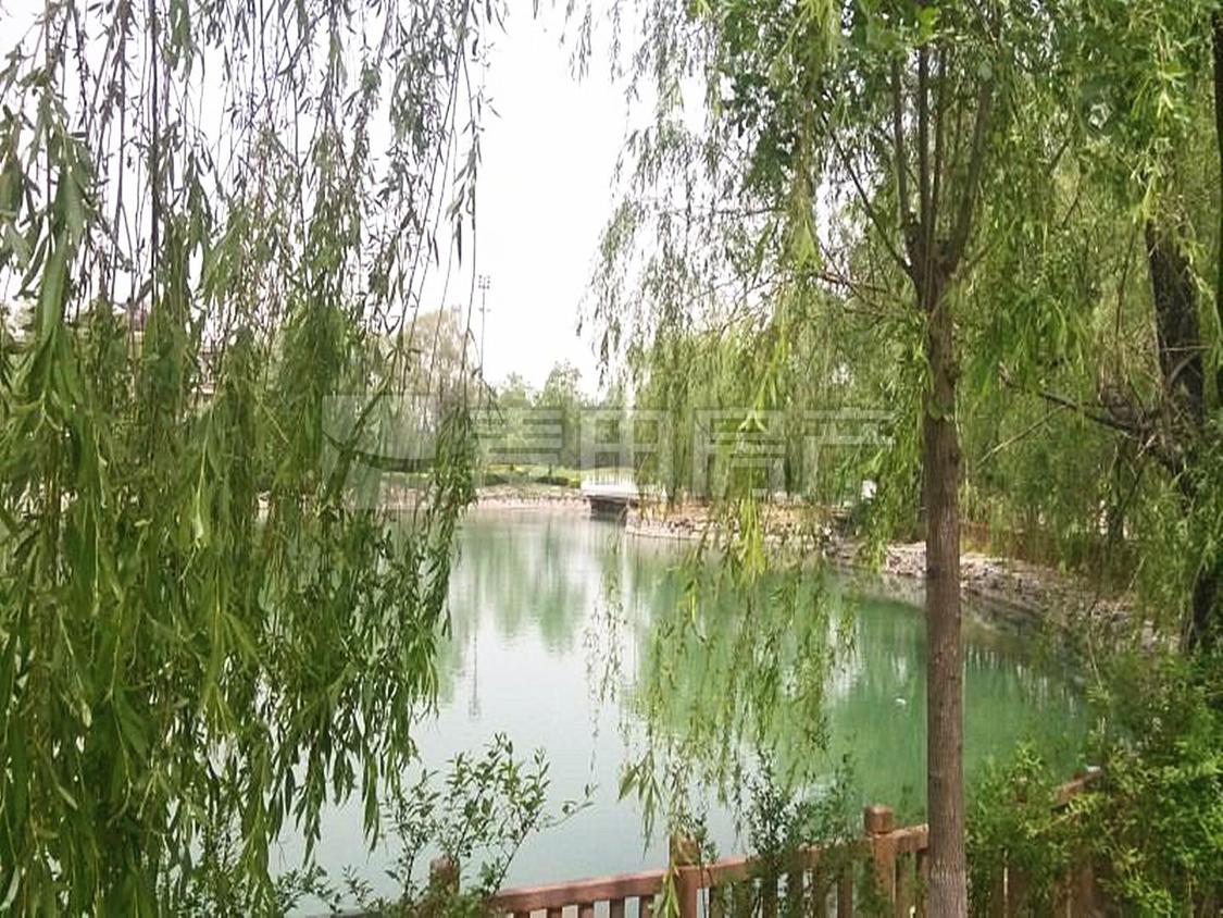 整租·碧海方舟