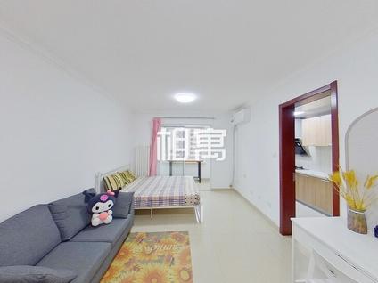 丰台成寿寺整租 恒悦城1室1厅/47平/低楼层