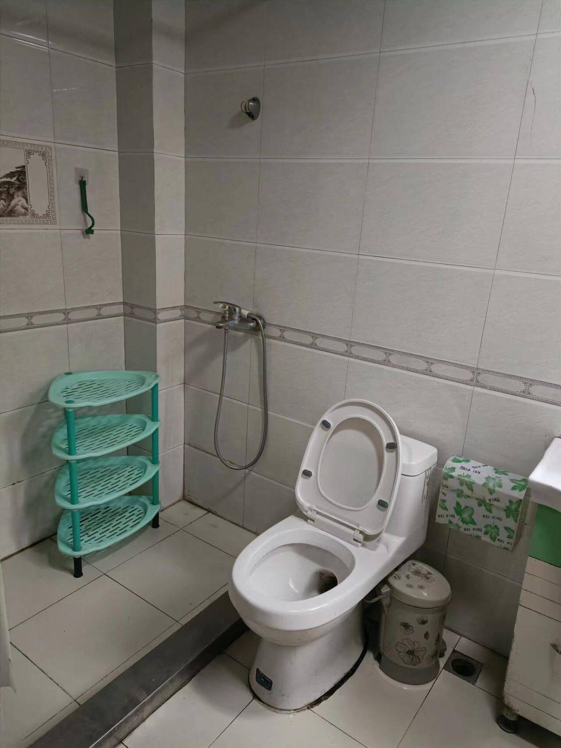 整租·天鹅湖花园