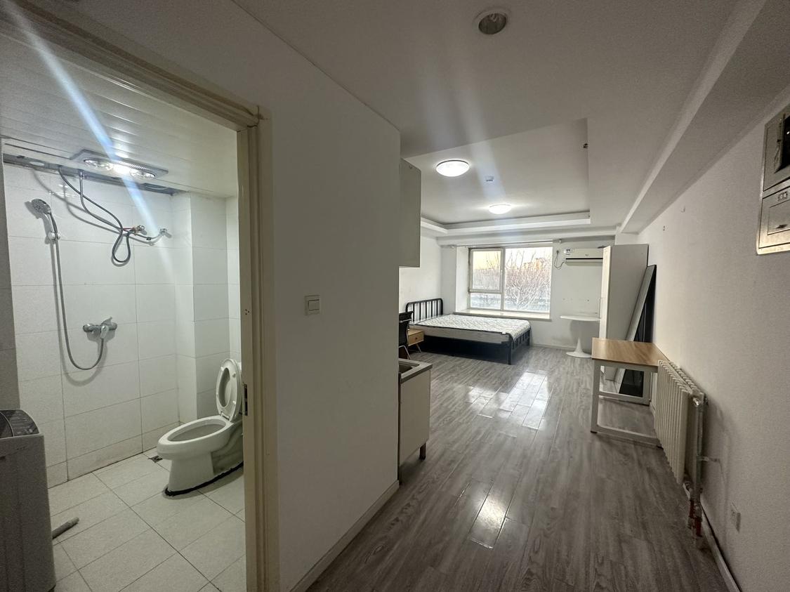 整租·东方郁金香