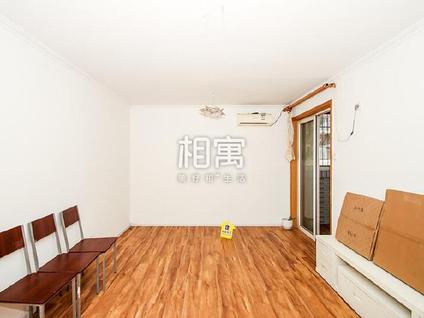 丰台右安门外整租 开阳里(三区)1室1厅/65平/低楼层