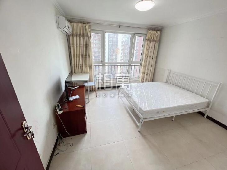 合租·金顶阳光