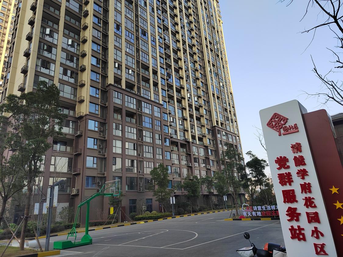 整租·楚天都市佳园