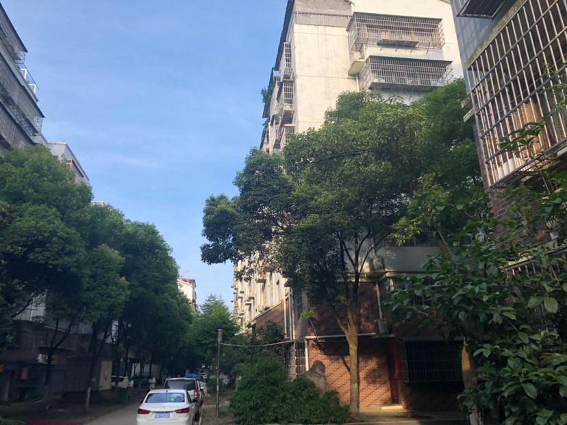 整租·津泰园