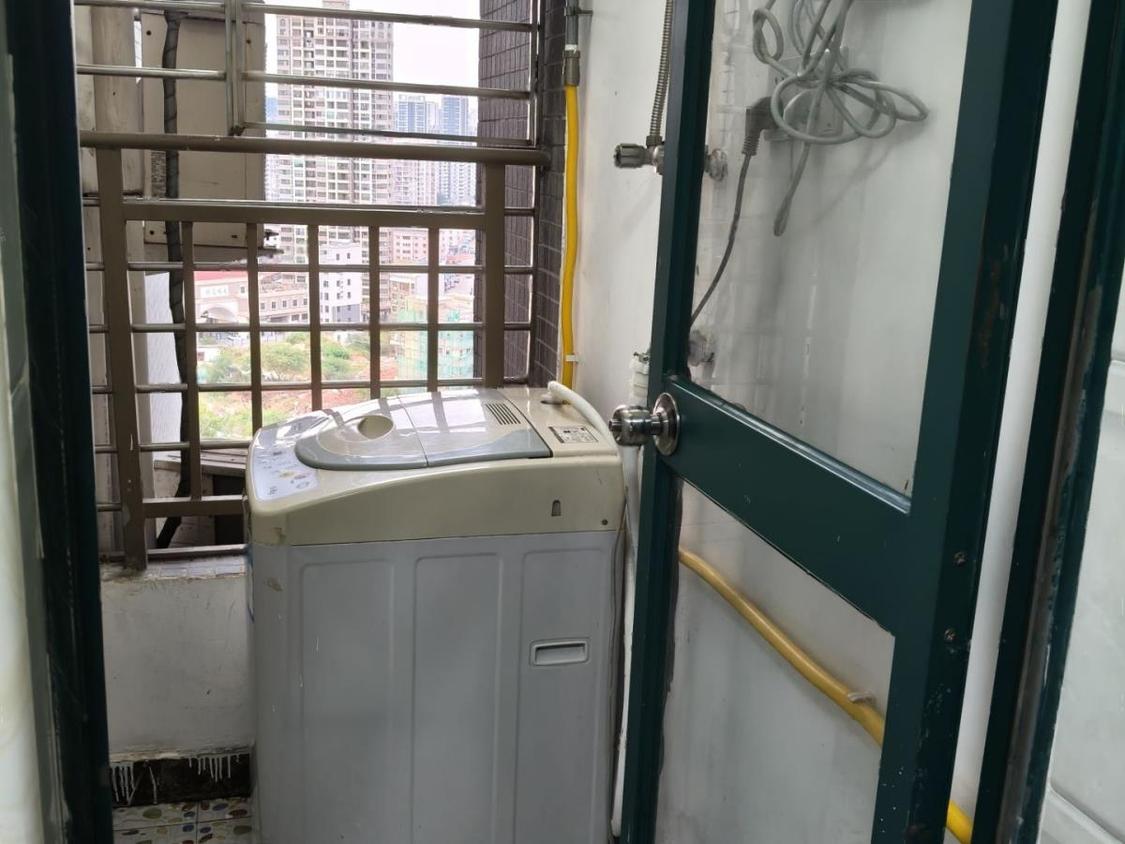 整租·紫辰名苑